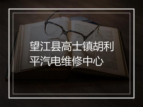 望江县高士镇胡利平汽电维修中心