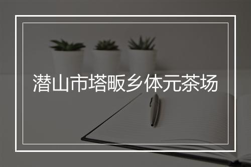 潜山市塔畈乡体元茶场