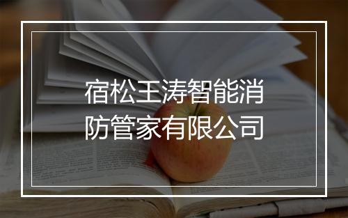 宿松王涛智能消防管家有限公司