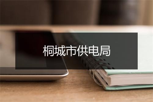 桐城市供电局