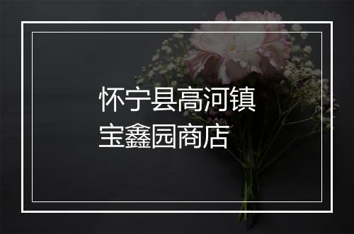 怀宁县高河镇宝鑫园商店