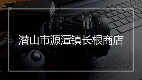 潜山市源潭镇长根商店