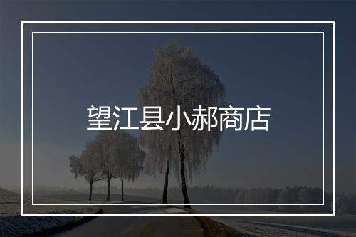 望江县小郝商店