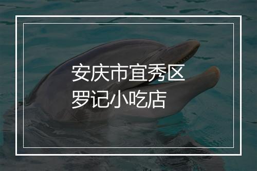 安庆市宜秀区罗记小吃店
