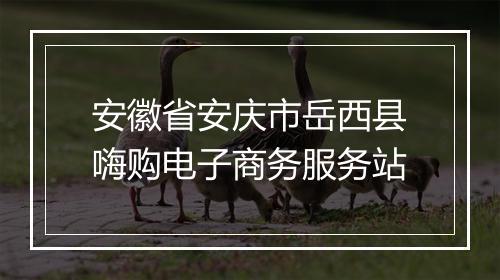 安徽省安庆市岳西县嗨购电子商务服务站
