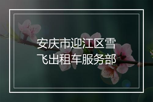 安庆市迎江区雪飞出租车服务部