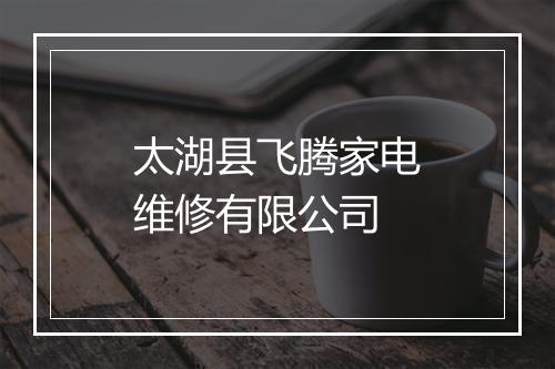 太湖县飞腾家电维修有限公司