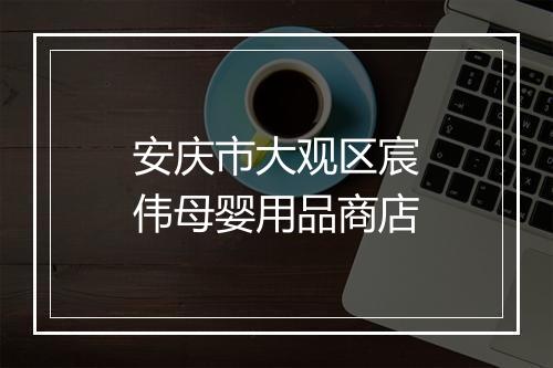 安庆市大观区宸伟母婴用品商店