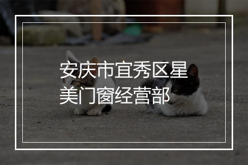 安庆市宜秀区星美门窗经营部