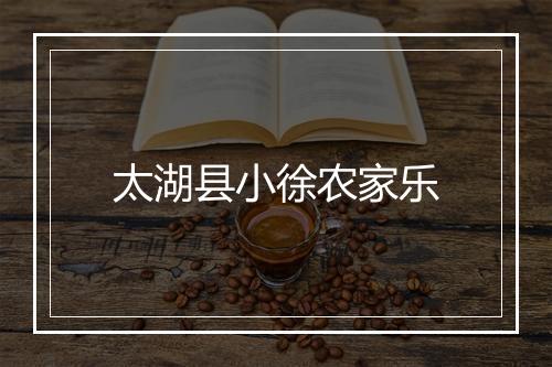 太湖县小徐农家乐