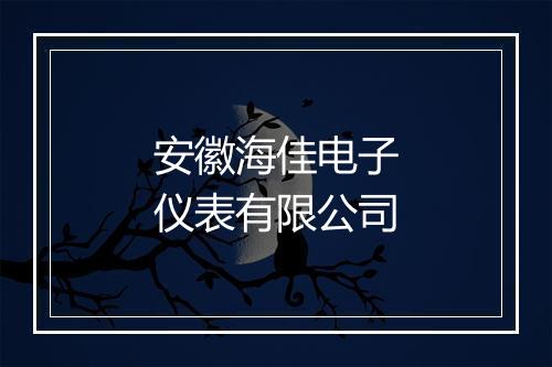 安徽海佳电子仪表有限公司