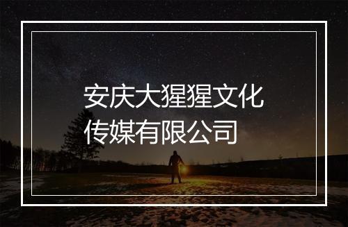 安庆大猩猩文化传媒有限公司