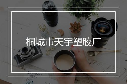 桐城市天宇塑胶厂