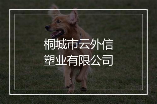 桐城市云外信塑业有限公司