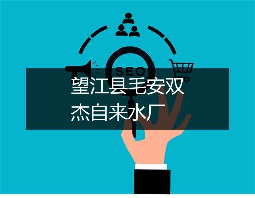 望江县毛安双杰自来水厂