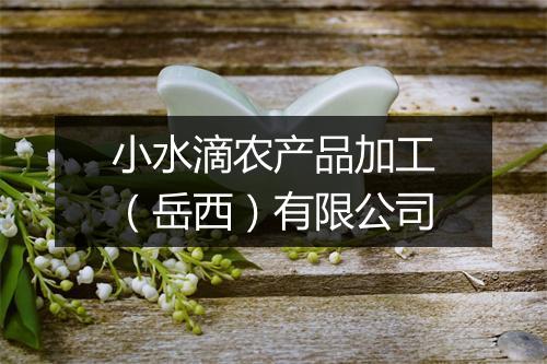 小水滴农产品加工（岳西）有限公司