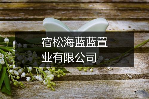 宿松海蓝蓝置业有限公司