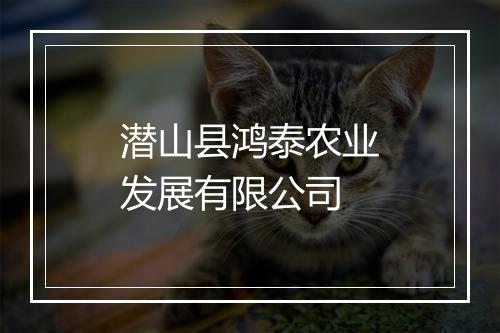 潜山县鸿泰农业发展有限公司