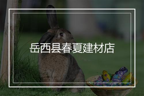 岳西县春夏建材店