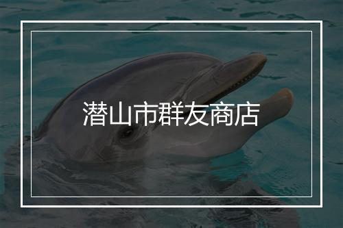 潜山市群友商店