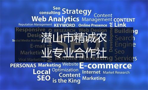 潜山市精诚农业专业合作社