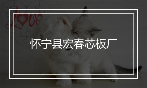 怀宁县宏春芯板厂