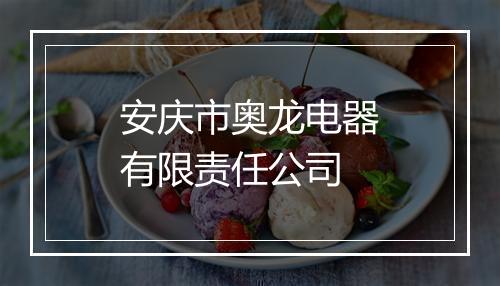 安庆市奥龙电器有限责任公司