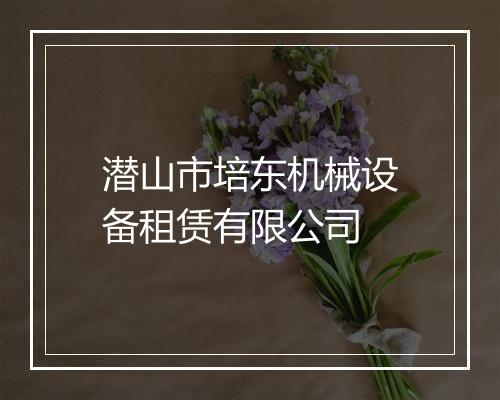 潜山市培东机械设备租赁有限公司