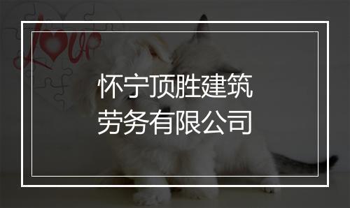 怀宁顶胜建筑劳务有限公司