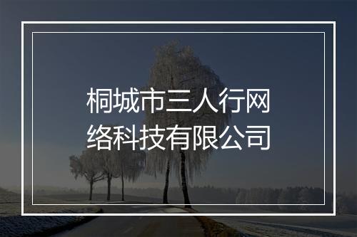 桐城市三人行网络科技有限公司