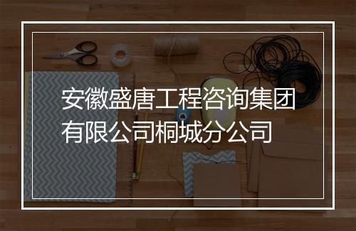 安徽盛唐工程咨询集团有限公司桐城分公司