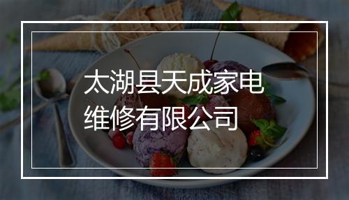太湖县天成家电维修有限公司