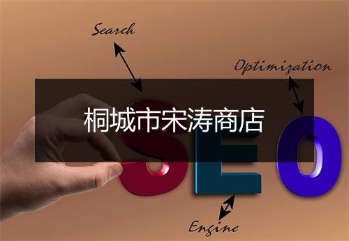 桐城市宋涛商店