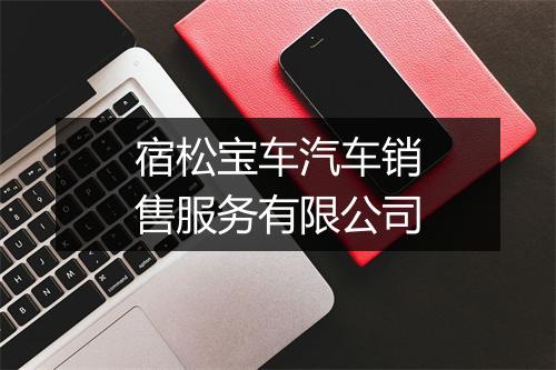 宿松宝车汽车销售服务有限公司