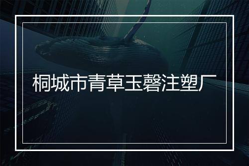 桐城市青草玉磬注塑厂