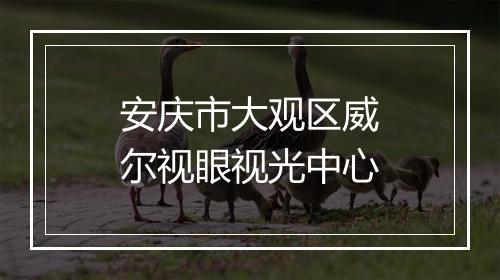 安庆市大观区威尔视眼视光中心