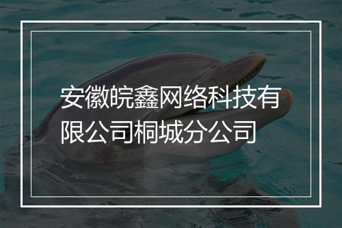 安徽皖鑫网络科技有限公司桐城分公司