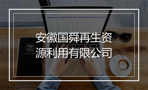 安徽国舜再生资源利用有限公司