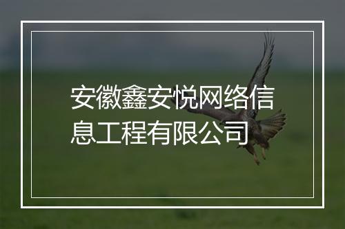 安徽鑫安悦网络信息工程有限公司