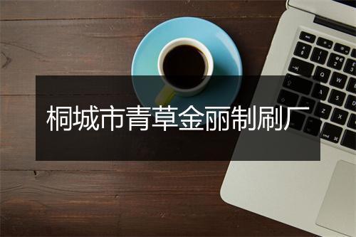 桐城市青草金丽制刷厂