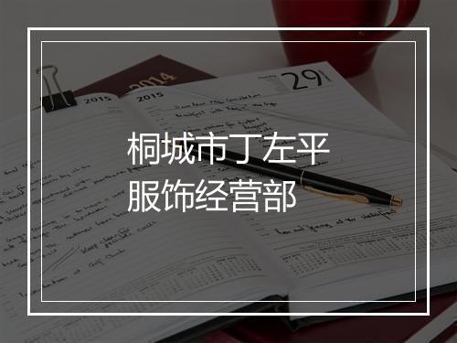 桐城市丁左平服饰经营部