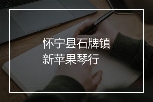 怀宁县石牌镇新苹果琴行