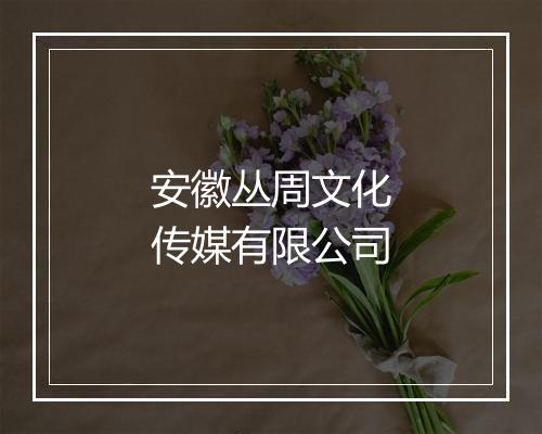 安徽丛周文化传媒有限公司