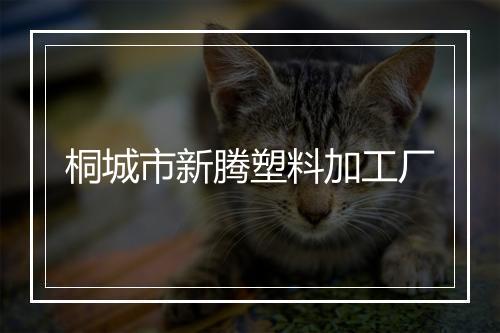 桐城市新腾塑料加工厂