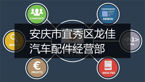 安庆市宜秀区龙佳汽车配件经营部