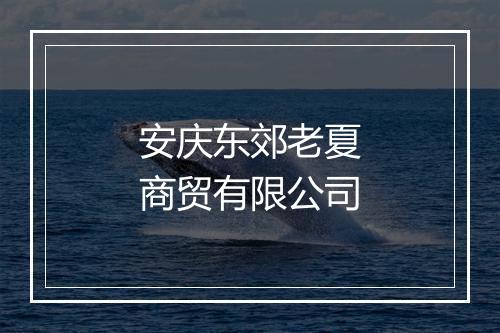 安庆东郊老夏商贸有限公司