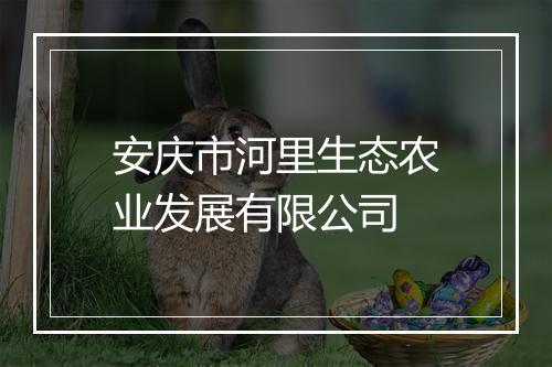 安庆市河里生态农业发展有限公司
