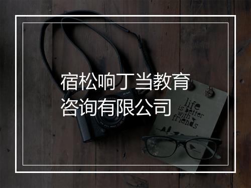 宿松响丁当教育咨询有限公司