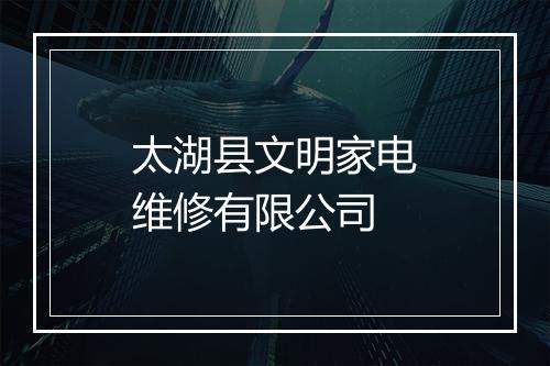 太湖县文明家电维修有限公司