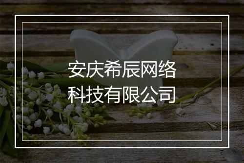 安庆希辰网络科技有限公司